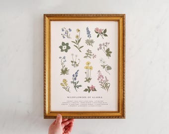 Wildflowers of Alaska, Vintage Flower Print, Alaskan Art, Vintage Science Poster Style, Fireweed, AK Poppy, Forget Me Not