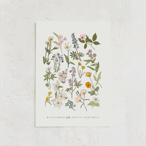 Wildblumen des pazifischen Nordwestens, PNW Blumen, Vintage Farbblumendruck, Vintage Blumendruck, kalifornische Wildblumen, Oregon Blumen