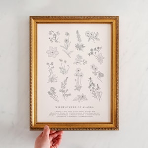 BW, Wildflowers of Alaska, Vintage Flower Print, Alaskan Art, Vintage Science Poster Style, Fireweed, AK Poppy, Forget Me Not