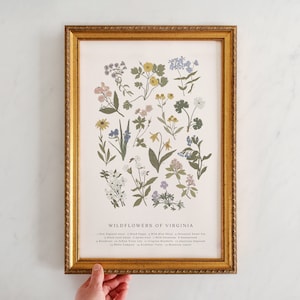 Wildflowers of Virginia, Virginia Flowers, Wildflowers of New England, Virginia Bluebells, Mountain Laurel, American Dogwood, 11" by 17"