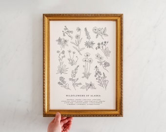 Wildflowers of Alaska, Vintage Flower Print, Alaskan Art, Vintage Science Poster Style, Fireweed, AK Poppy, Forget Me Not, 11" by 14"