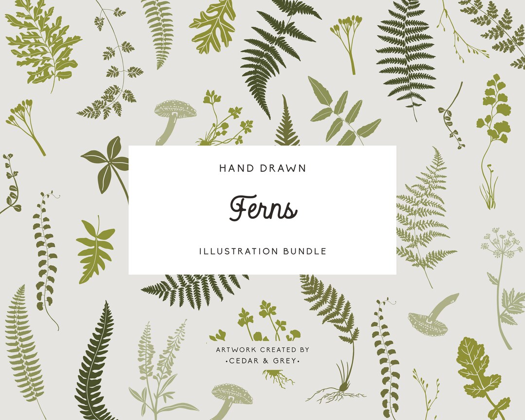 Woodland Clip Art, Ferns and Mushrooms, Flowers Clipart, Leaves Leaf