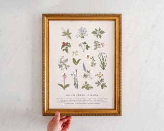 May include: A framed print displaying botanical illustrations of Maine wildflowers, such as lady slippers and irises. The print, titled "Wildflowers of Maine", is presented in a gold-coloured frame. The names of the flowers are listed below the illustrations.