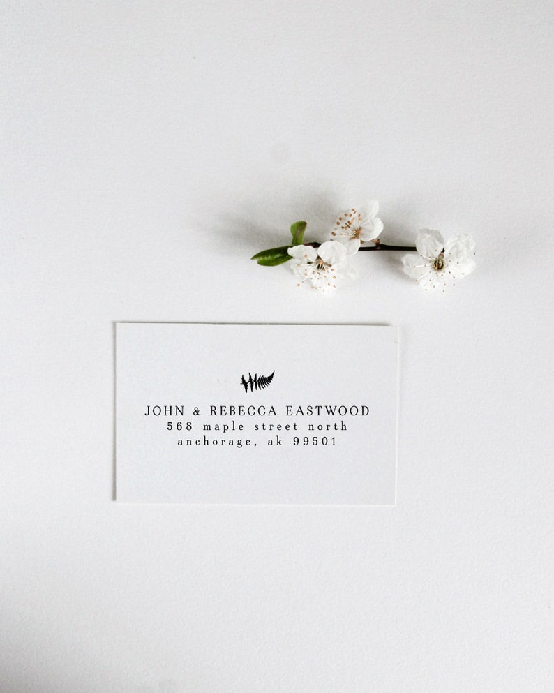 Fern Address Stamp, Woodland Ferns Stamp, Whimsical Fern Wedding, Hand Drawn Ferns, Plant with Roots, Minimalist Fern image 1
