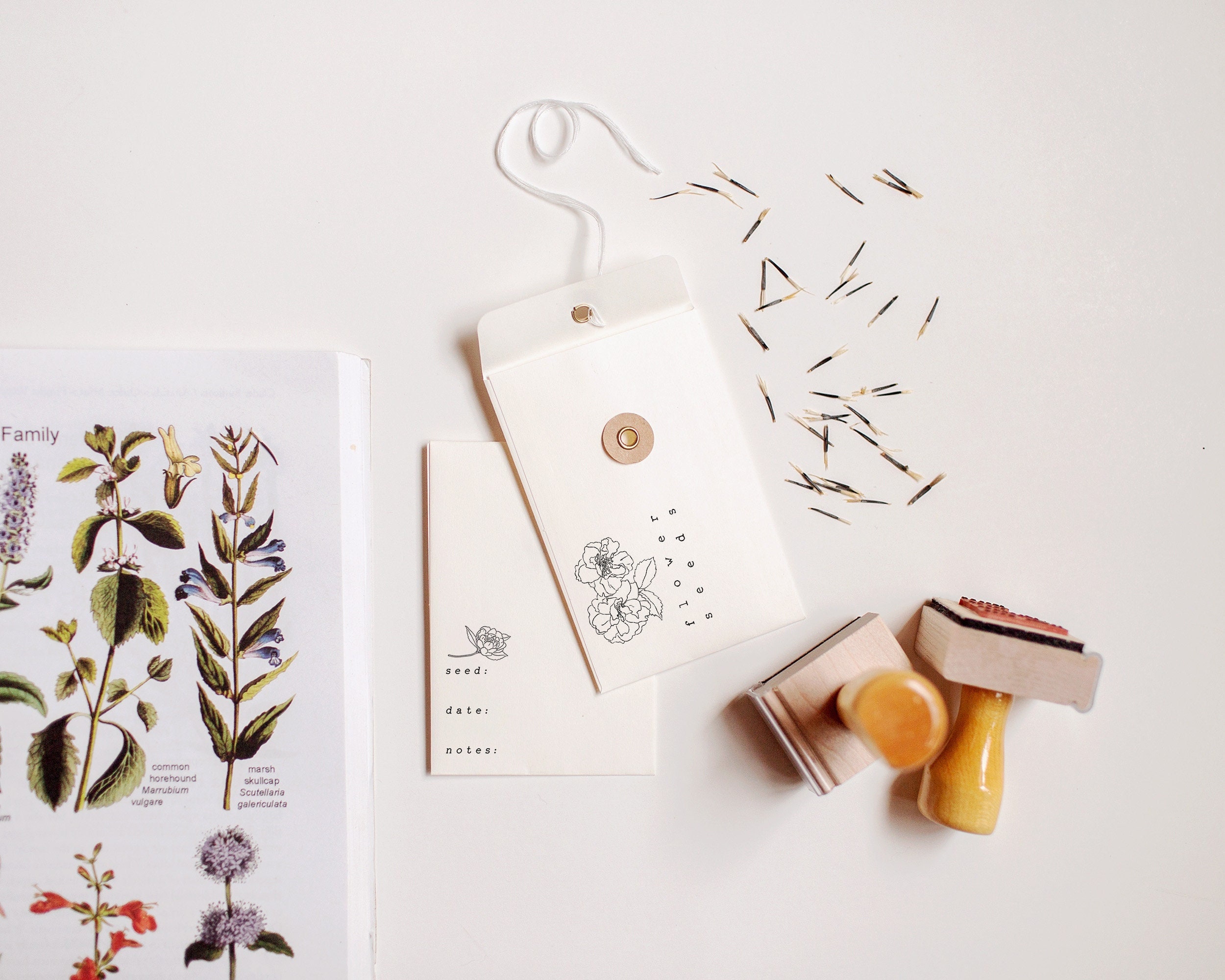 Seed Labels, Flower Seed Labeling, Stamp Set for Seed Envelopes, Labels ...