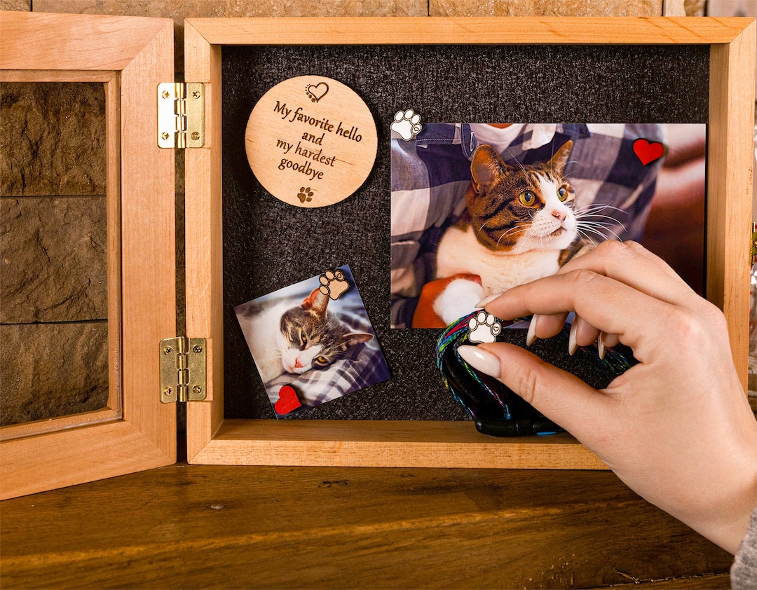 Pet urn shadow box discount