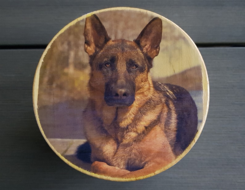 Dog memory box Personalized Memorial gifts of dogs Pet cremate box Photo engraved urn Pet keepsake box Large memory box Wooden pet urn