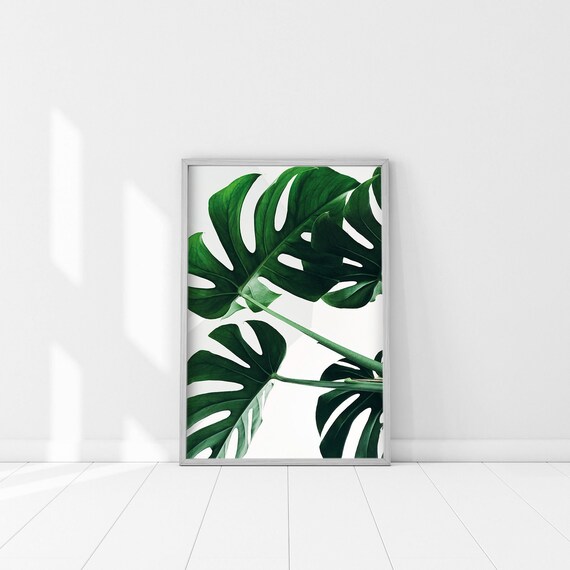 Monstera Sheet Digital Murals Download Digital File Palm Etsy