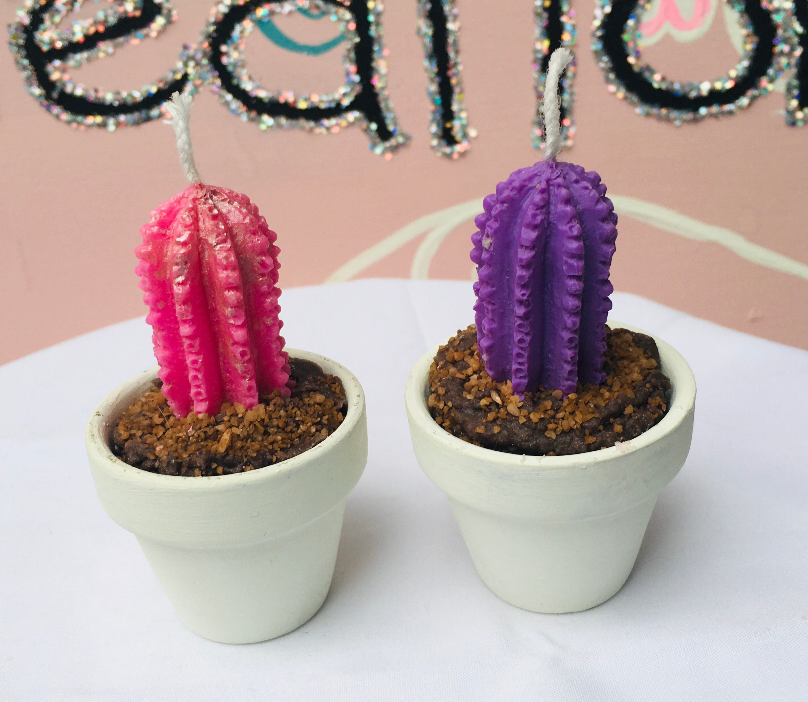 Mini Cactus Candles Etsy