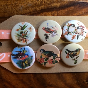 May include: Six round, white, button-shaped pins with colorful images of birds on a brown background. The pins are arranged in two rows of three.