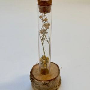 Test Tube Flower Vase with Stand and Dried Flowers Inside the Tube! Test Tube Vase Rack! Test Tube Flower Stand!