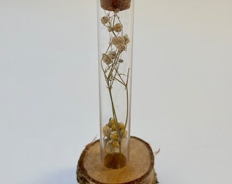 Test Tube Flower Vase with Stand and Dried Flowers Inside the Tube! Test Tube Vase Rack! Test Tube Flower Stand!
