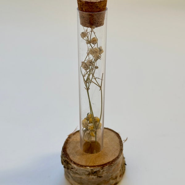 Test Tube Flower Vase with Stand and Dried Flowers Inside the Tube! Test Tube Vase Rack! Test Tube Flower Stand!