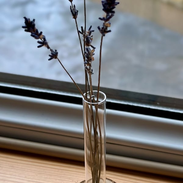 Test Tube Flower Vase with Stand! Stylish Container for Live and Dried Plants! Test Tube Vase Rack! Test Tube Flower Stand!