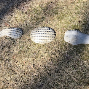 3 Piece Alligator Statue, Concrete Alligator, Yard Ornaments, Garden Ornament, Home Decor