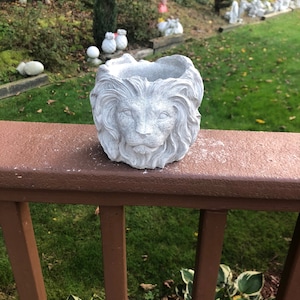 Lion Head Planter, Succulent Planter, Small Indoor / Outdoor Planter, Flower pot, Concrete Planter,  Cement Planter, Home Decor