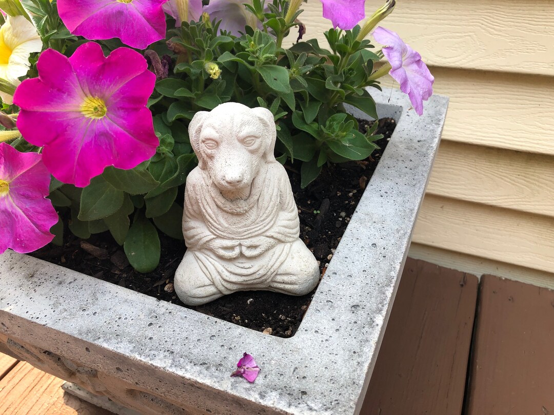 Cement Dog Buddha, Meditating Dog, Concrete Dog Buddhas, Concrete Zen
