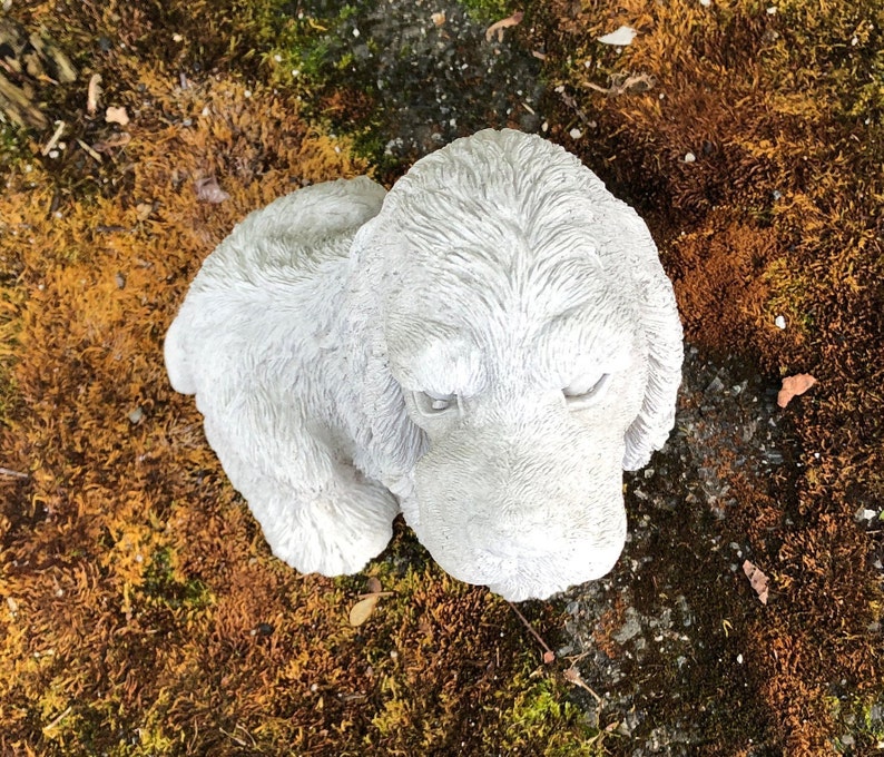 concrete cocker spaniel