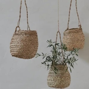 May include: Three hanging baskets made of natural woven material, with one basket containing a small green plant.
