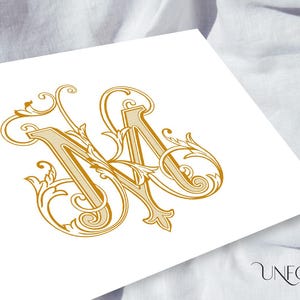 Op de afbeelding: Een goudkleurig monogram met de verweven letters "N" en "A" met sierlijke, bloemrijke versieringen. Het ontwerp staat tegen een witte achtergrond, met het "UNFOLD STUDIO" logo rechtsonder.