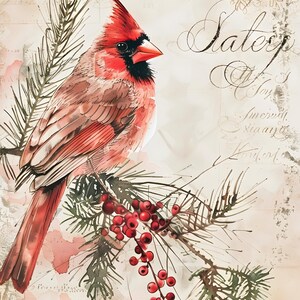 K&ouml;nnte beinhalten: Ein leuchtend roter Kardinalvogel sitzt auf einem Kiefernzweig mit roten Beeren. Der Hintergrund zeigt eine cremefarbene Oberfl&auml;che mit feiner, eleganter Schreibschrift und dekorativen botanischen Linienzeichnungen in geschichteter Optik.