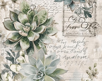 May include: A decorative print featuring multiple green and blue-toned succulent plants layered over a background of vintage-style cursive handwriting, postal stamps, and faint grid lines in shades of beige, cream, and muted gray.