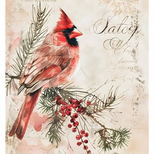 K&ouml;nnte beinhalten: Ein leuchtend roter Kardinalvogel, der auf einem Kiefernzweig mit roten Beeren sitzt. Der Hintergrund zeigt eine cremefarbene Pergamentstruktur mit blasser, eleganter Schreibschrift und dekorativen botanischen Linien in einem sanften Braun.