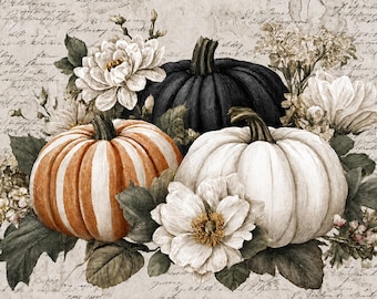 May include: A decorative print featuring a black pumpkin, a white pumpkin, and an orange and white striped pumpkin arranged with white flowers and green leaves against a background of vintage-style cursive handwriting in sepia tones.