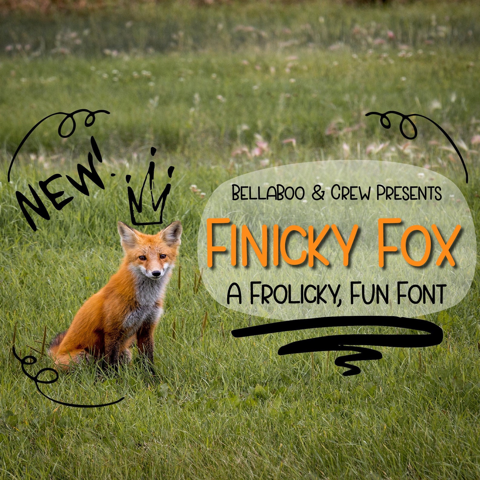 finicky fox carthage missouri finicky fox carthage missouri