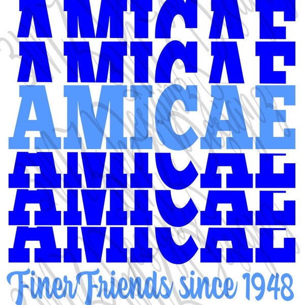 Amicae split words digital files