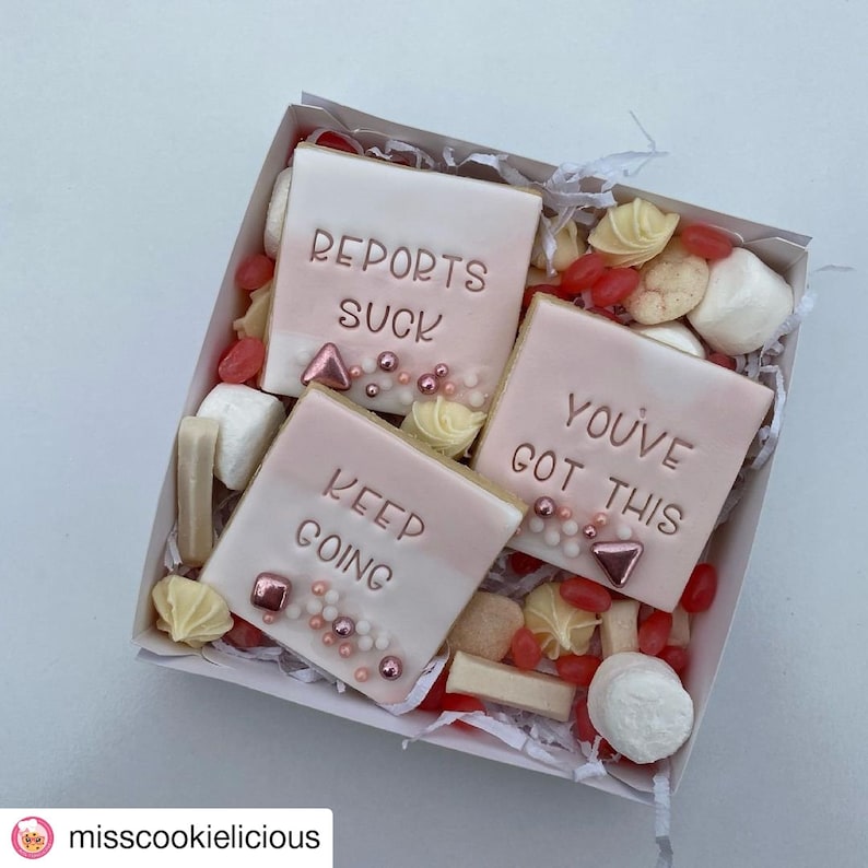 May include: A white gift box filled with pink and white cookies decorated with pink frosting and sprinkles. The cookies have the following messages: "Reports Suck", "You've Got This", and "Keep Going".