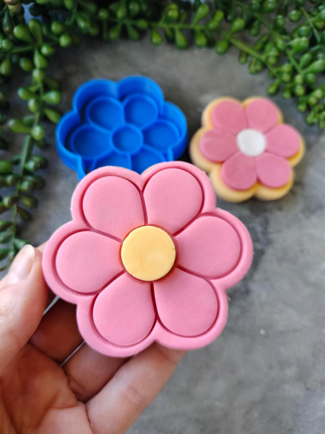 6 petal flower cookie cutter and fondant embosser stamp set etsy