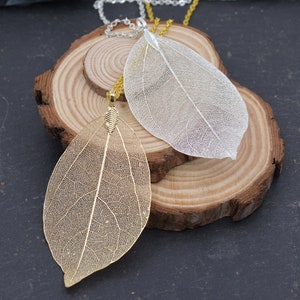 Collar colgante de esqueleto de hoja, chapado en oro de 18 qt o plateado, joyería inspirada en la naturaleza imagen 1