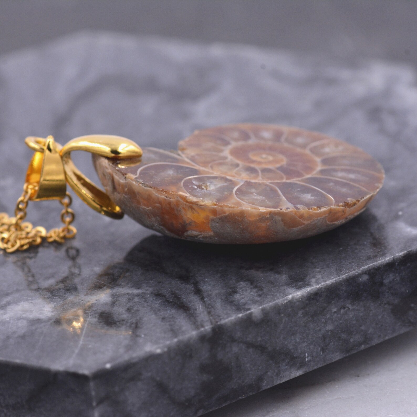real fossil necklace