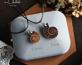 アンモナイト化石シェルネックレス、本物のアンモナイトネックレス