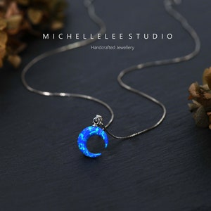 May include: A silver chain necklace with a blue opal crescent moon pendant. The necklace is on a dark background with dried flowers.