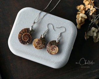 Ammonite Fossil Shell Hook Earrings, Real Ammonite Earrings, Natural Fossil Jewelry, Marine Jewellery