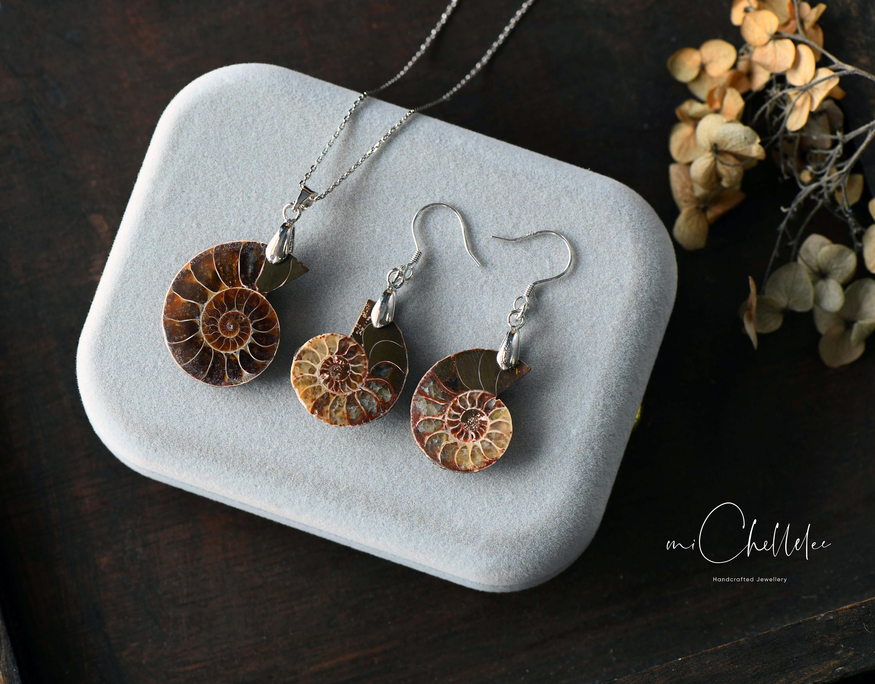 Ammonite Fossil Shell Hook Earrings, Real Ammonite Earrings