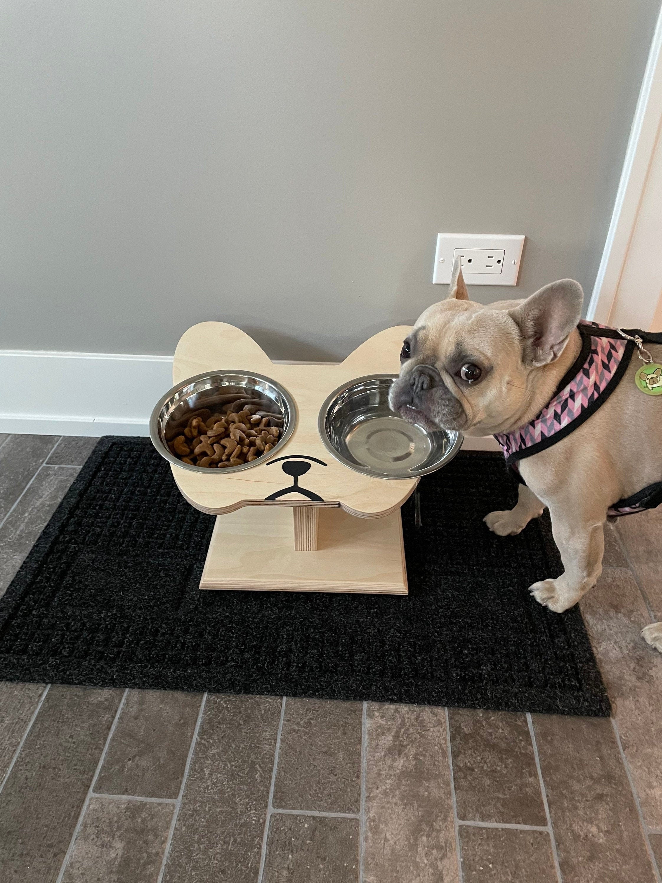 French Bulldog Elevated Platforms For Small Space preview