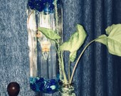 B181 Hanging Glass Plant Starters