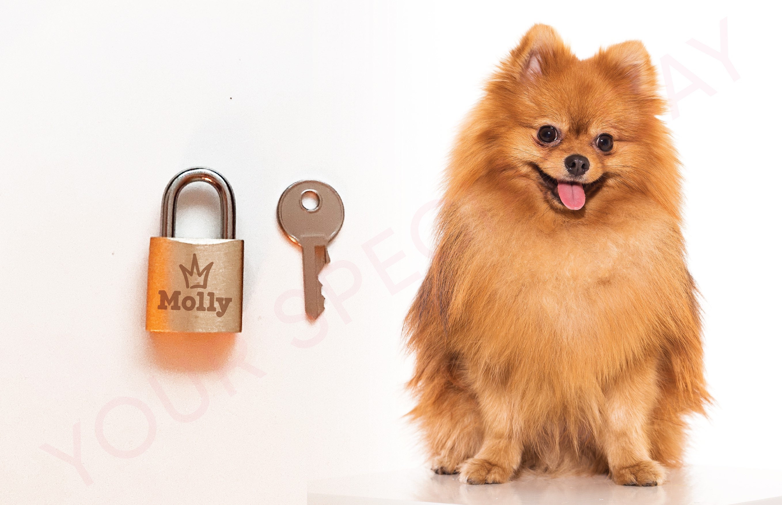 Custom Personalized Small Padlock Engraved Padlock Love Etsy Canada