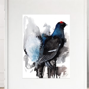 Scottish Black Grouse Numbered limited edition Giclee Print of a Watercolour Painting