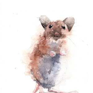 Field Mouse Numbered Limited Edition Giclee Print of a Watercolour ...