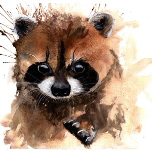 Raccoon Numbered limited edition Giclee Print of a Watercolour Painting