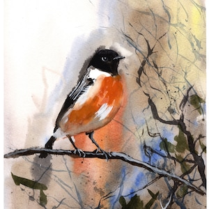 May include: Watercolor painting of a small bird with black, white, and orange feathers perched on a branch. The background is a watercolor wash of brown, blue, and green.