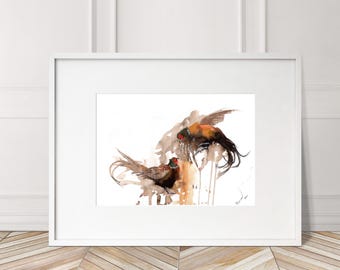 Pheasant fight Numbered limited edition Giclee Print of a Watercolour Painting