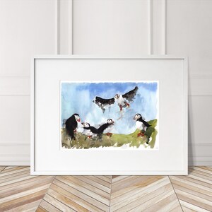 Puffins Numbered limited edition Giclee Print of awatercolour Painting