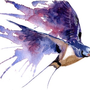 Swallow Numbered limited edition Giclee Print of a Watercolour Painting