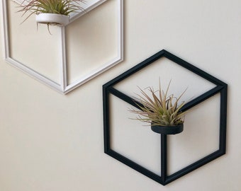 3D Printed Air Plant Holder: Square Illusion Wall Hanger