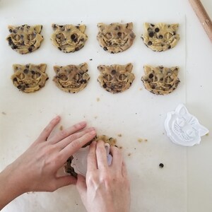 May include: Close-up of cookie dough cut into the shape of a cat's face, with chocolate chips. A white cat-shaped cookie cutter is used to cut out the cookies. The cookies are on a white surface.